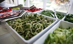 Gastronomia